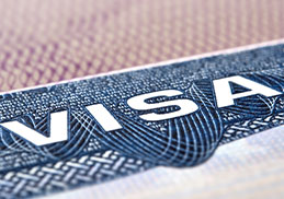 U Visa